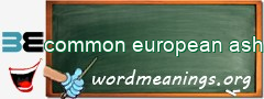 WordMeaning blackboard for common european ash